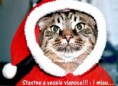 /album/fotogaleria/stastne-a-vesele-vianoce-ski009-jpg/