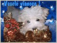 /album/fotogaleria/vesele-vianoce-a-stastny-novy-rok-8-jpg/
