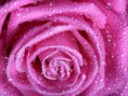 /album/fotogaleria/a506-jpg/