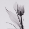 /album/fotogaleria/are314-jpg/