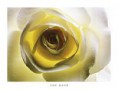 /album/fotogaleria/n-jpg/